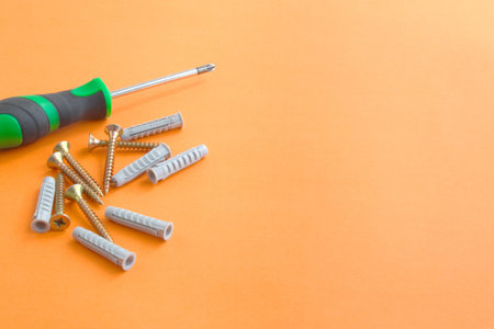 DIY tool set consisting of screws, dowels and screwdriver