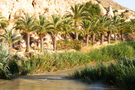 Fast flowing river through lush green valleyの写真素材