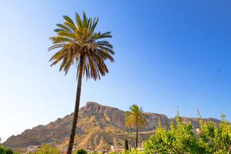 warm image with lush vegetation and palm trees