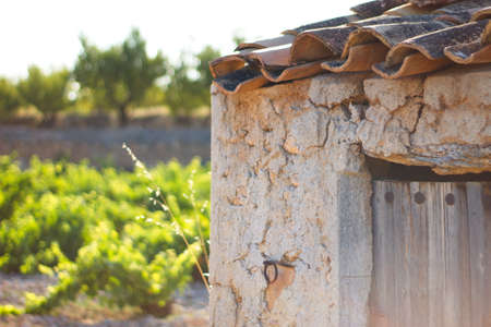 old toolhouse next to vineyard in summerの写真素材
