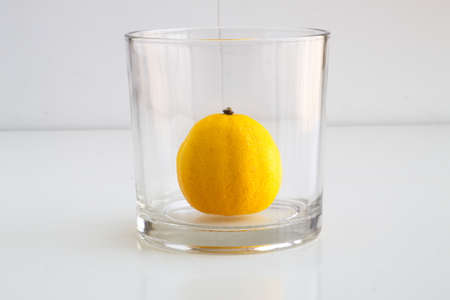 Lemon tree or lemon juice project. It depends how you see itの写真素材