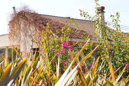 country house next to nice and colorful gardenの写真素材