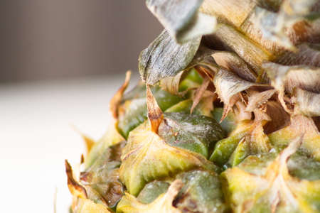 Delicious and refreshing summer fruit, pineappleの写真素材