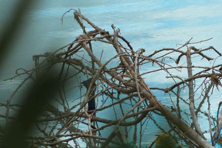 looking at the scenery hidden between the branchesの写真素材