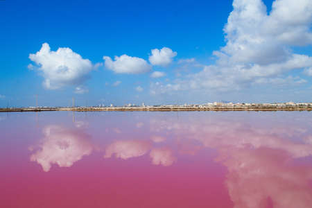 Nice landscape of stagnant lagoon for the production of salt in San Pedro del Pinatar, Murciaの写真素材