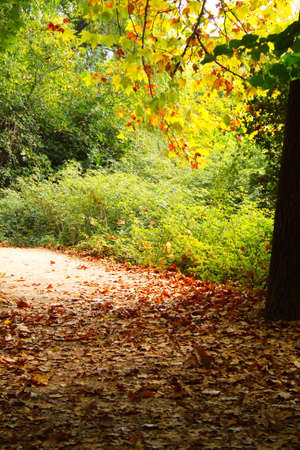 Path to walk in a very beautiful natural environment of the Fuentes de MarquÃ©s in Caravaca de la Cruz in Murciaの写真素材