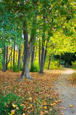 Path to walk in a very beautiful natural environment of the Fuentes de MarquÃ©s in Caravaca de la Cruz in Murciaの写真素材
