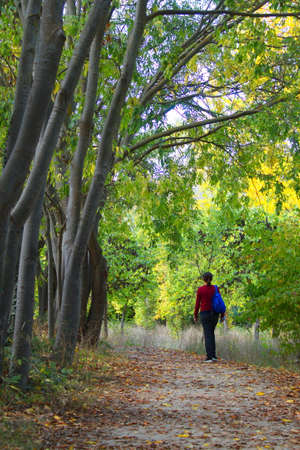 Path to walk in a very beautiful natural environment of the Fuentes de MarquÃ©s in Caravaca de la Cruz in Murciaの写真素材