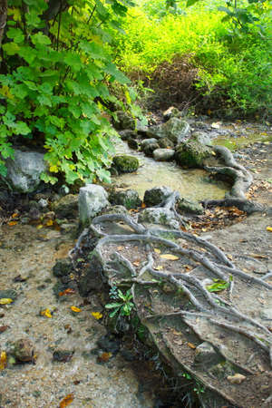 Calm stream of water that runs through the surroundings of the Fuentes del MarquÃ©s in Murciaの写真素材