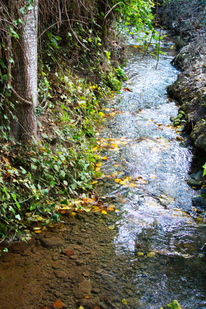 Calm stream of water that runs through the surroundings of the Fuentes del MarquÃ©s in Murciaの写真素材