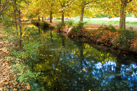 Calm stream of water that runs through the surroundings of the Fuentes del MarquÃ©s in Murciaの写真素材
