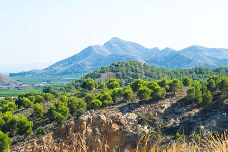 Beautiful landscape of mountains and trees in a protected natural environmentの写真素材