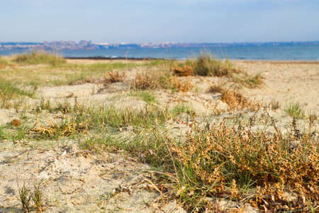 Paradisiacal beaches of the Spanish coast to take a refreshing swimの写真素材