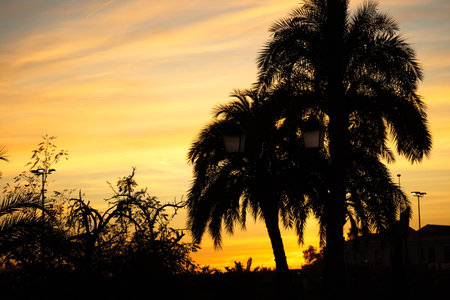 Spectacular and colorful sunset in Murciaの写真素材