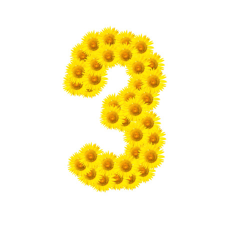 sunflower alphabet isolated on white backgroundの写真素材