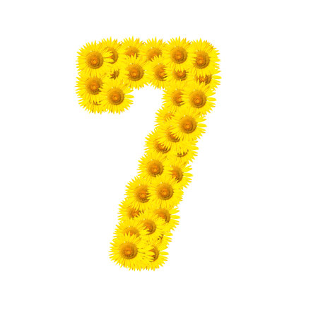 sunflower alphabet isolated on white backgroundの写真素材