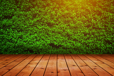 Green wall texture background with wooden floor.の写真素材