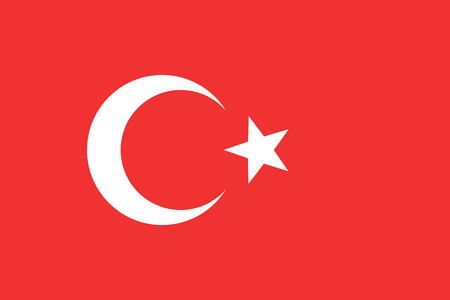 Flag of Turkey. Turkey flag vector illustration.のイラスト素材