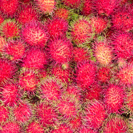 Fresh rambutan fruit in the market, Thailand.の写真素材
