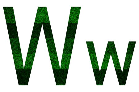 English alphabet with green grass texture isolated on white background.の写真素材