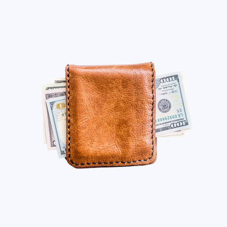 dollars bills in wallet isolated on white background