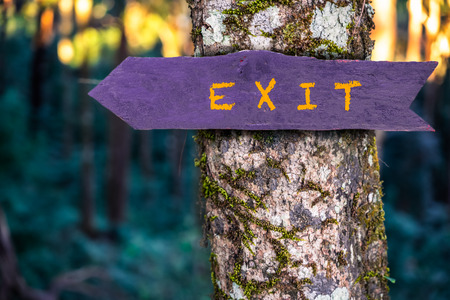 Exit wooden sign is on tree in the forest.の写真素材