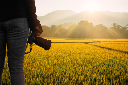 Back view of young hipster photographer holding the camera with sunrice on rice field natural...