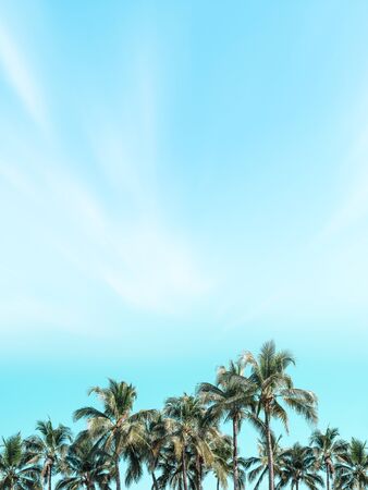 Beautiful coconut palm trees with vintage nature beach background.の写真素材