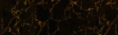 Panorama images of golden and black marble stone texture for background or luxurious tiles floor and wallpaper decorative design.の写真素材