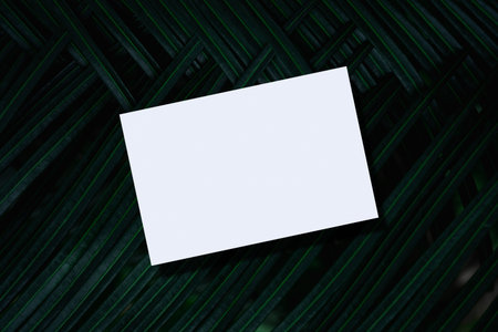 Closeup of empty white paper mockup on green palm leaf