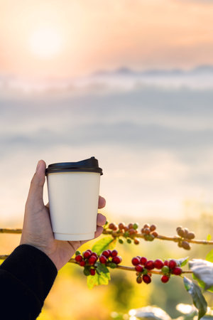 Male hand holding a hot coffee paper cup with blur mountains landscape in morning background.の写真素材