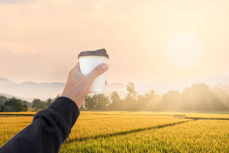 Male hand holding a hot coffee paper cup with rice field and mountains landscape in morning background.の写真素材