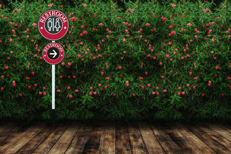 Restroom sign with red flower and green leaves wall background with wood floor.の写真素材
