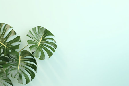 Green Foliage with copyspace, Lush Monstera Leaves on a Delicate Pastel Background. Generative ai.の素材