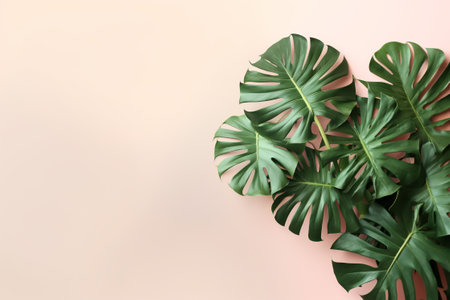 Green Foliage with copyspace, Lush Monstera Leaves on a Delicate Pastel Background. Generative ai.の素材
