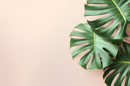 Green Foliage with copyspace, Lush Monstera Leaves on a Delicate Pastel Background. Generative ai.の素材