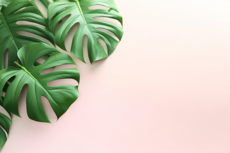 Green Foliage with copyspace, Lush Monstera Leaves on a Delicate Pastel Background. Generative ai.の素材