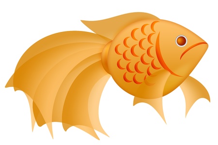 Fancy Goldfish Clipart Illustration Isolated on White Backgroundの写真素材