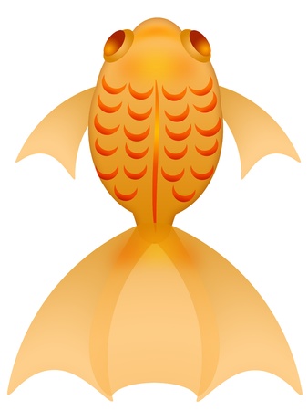 Fancy Goldfish Top View Clipart Illustration Isolated on White Backgroundの写真素材