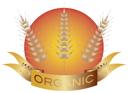 Wheat Grain Stalk with Banner and Sun Background Illustrationのイラスト素材