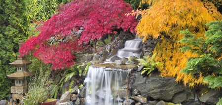 Backyard Waterfall with Japanese Maple Trees in Fall Panoramaの写真素材