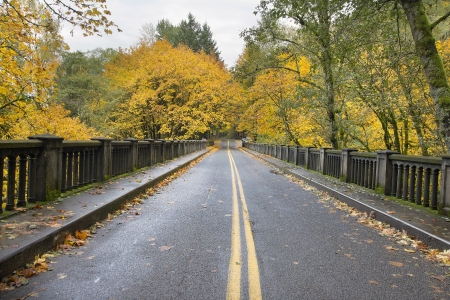 Autumn Trees Along Historic Columbia Highway Bridge Lined with Giant Maple Treesの写真素材