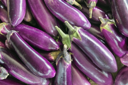 Eggplant Brinjal Vegetable Closeup Backgroundの写真素材
