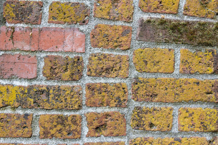 Old Brickwork on Archway of Historic Building Closeup Macro