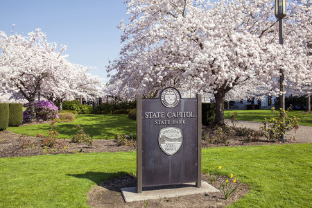 SALEM, OREGON - MARCH 23, 2014: State Capitol State Park Sign during Cherry Blossom Tree Blooming Spring Season. This is a free park open to the public and is a tourist attraction.のeditorial素材