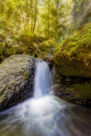 Waterfall along Gorton Creek in Columbia River Gorge National Scenic Area in the Afternoonの写真素材