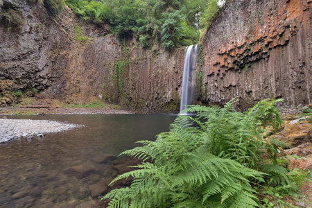 Abiqua Falls with Bracken Ferns by the town of Scotts Mills off Crooked Finger Road in Marion County...