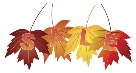 Sale Text on Fall Colors Maple Leaves for Store Sign Illustrationのイラスト素材