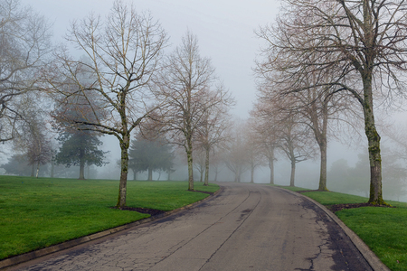 Foggy cold morning in the park in Portland Oregon during winter seasonの写真素材