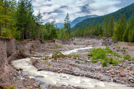 Sandy River in Mount Hood National Forest in Oregon during summer seasonの写真素材